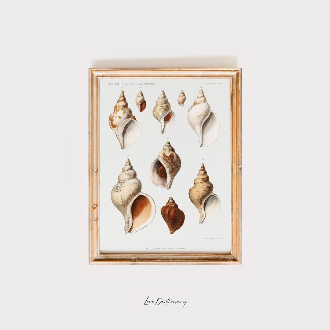 Vintage Beach Wall Art, Coastal Art Prints, Nautical Wall Art, Vintage