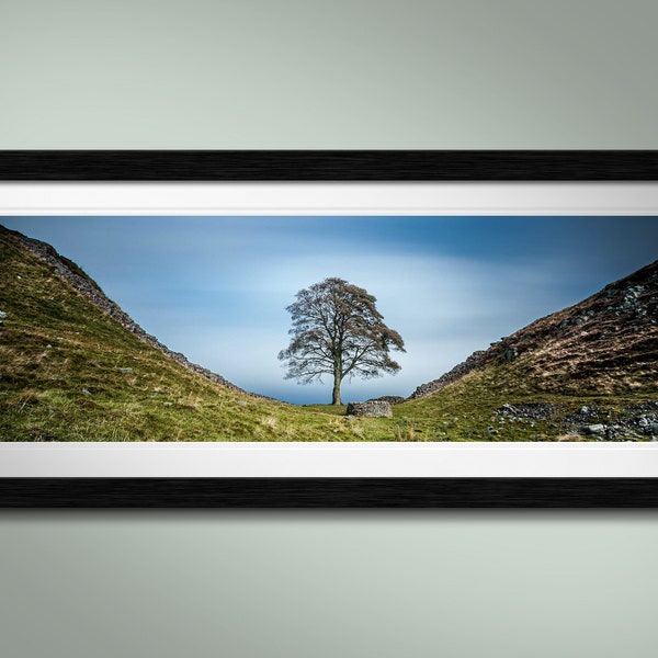 SYCAMORE GAP: landscape photo print of Sycamore Gap and the iconic lone tree. Original gallery-quality art print, framed or mounted.