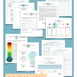 EMDR Practitioner Resource Workbook: Step-by-step Guide With Templates ...