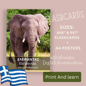 Cartes mémoire grecques, animaux d'Afrique en grec, vraies photos, Grèce, apprentissage des langues pour les enfants, cartes imprimables bilingues, inspiration Montessori