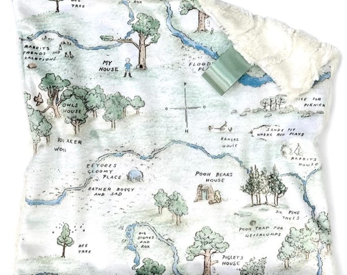 Winnie the Pooh Baby Blanket: Hundred Acre Wood Minky Lovey