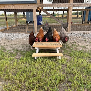 Chicken Picnic Table!  NEW variations available!!