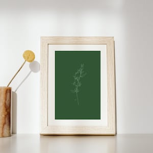 Fine Line Flower Contour Line Print