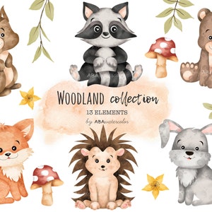 Woodland Cliparts, Woodland Collection Set, Woodland Animals Clipart