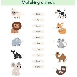Preschool Worksheets, Identifying and Counting Animals (Printable)