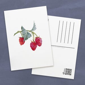 Postal de acuarela de frambuesas / Tarjetas ilustradas de bayas de verano para regalos de papelería / Impresiones artísticas de frutas jugosas para decoración de paredes
