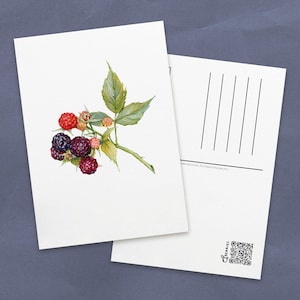 postale d'aquarelle de mûres | Cartes illustrées sur les petits fruits d'été pour la papeterie | Impressions artistiques de fruits juteux pour décoration murale