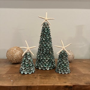 Green Limpet Shell Tree