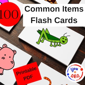 Schede Flash Stampabili 100 Oggetti Comuni / Schede Flash I Valutazioni / ABLLS-R / VB-MAPP / Schede Flash vocali / Schede Flash Esl Pdf Digitale