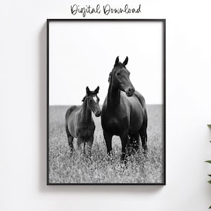 Digital Horse Photography Print – Black and White Equestrian Wall Art, Farmhouse Decor, Horse Lover Gift, Printable Horse Portrait