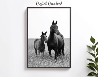 Horse Photography Print: Black and White Equestrian Farmhouse Art (Digital Download)