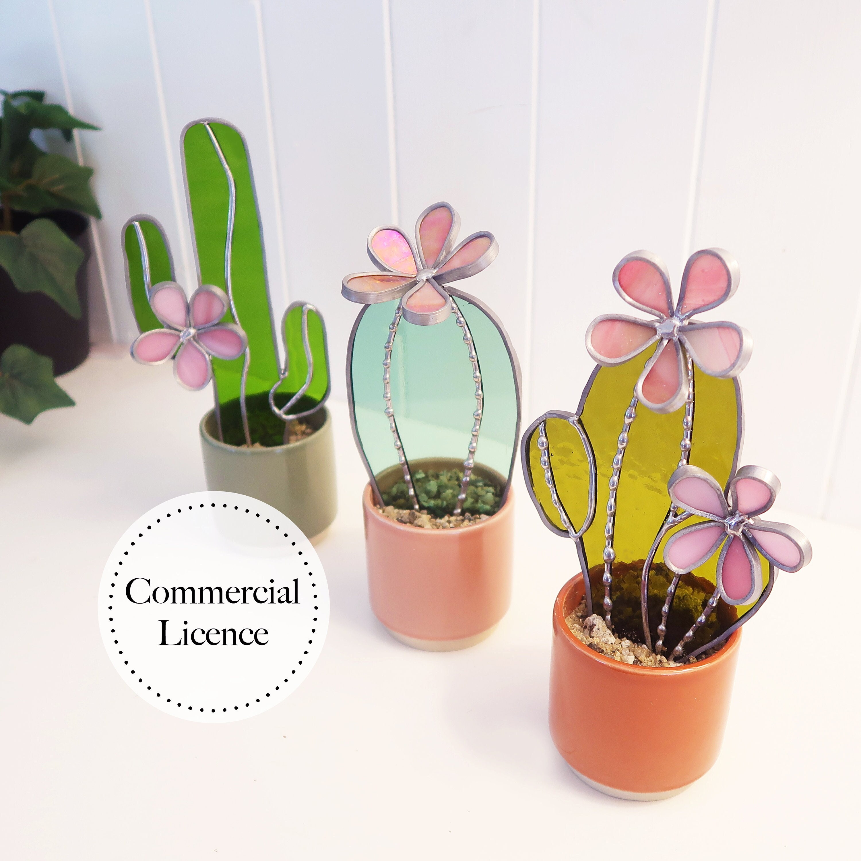 cane yucca Yucca Cane  Interior Foliage Design