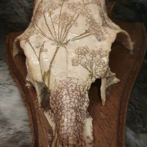 Antler skull deer antler deer decoration flowers deer