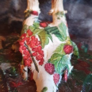 Antlers roebuck skull deer fruits berries hunting trophy deer