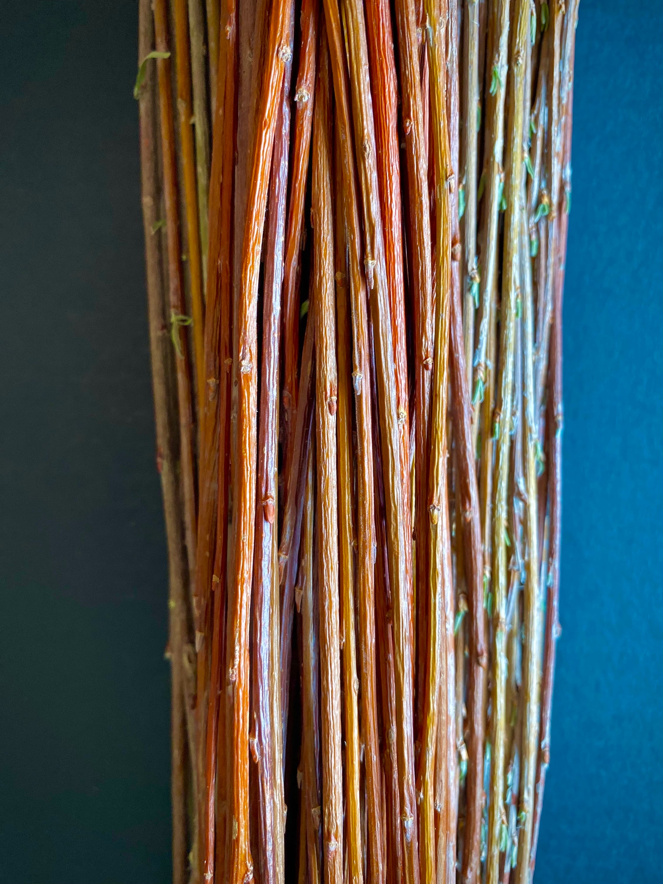 Dried Willow Tip Bundle Floral Stems Dried Reeds for Seasonal Etsy