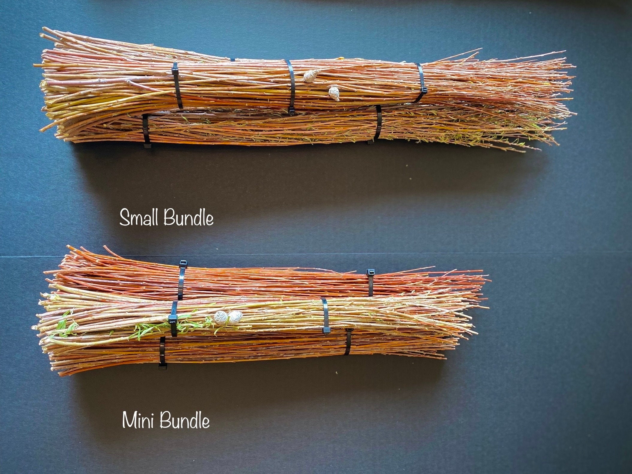 Dried Willow Tip Bundle Floral Stems Dried Reeds for Seasonal Etsy