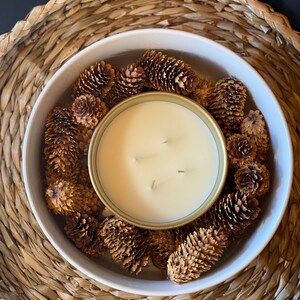 Colorado Blue Spruce Cones | Bulk Craft Pinecone Bundles | Natural Pinecone Wreath for Christmas | Pinecone Décor | Pine Soap | Pinecone svg