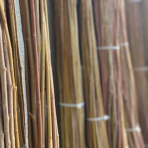 Freshly Harvested & Naturally Dried Willow Branches for Weaving 3FT Length Living Structures Privacy Wall BUY 3 BUNDLES get 1 FREE