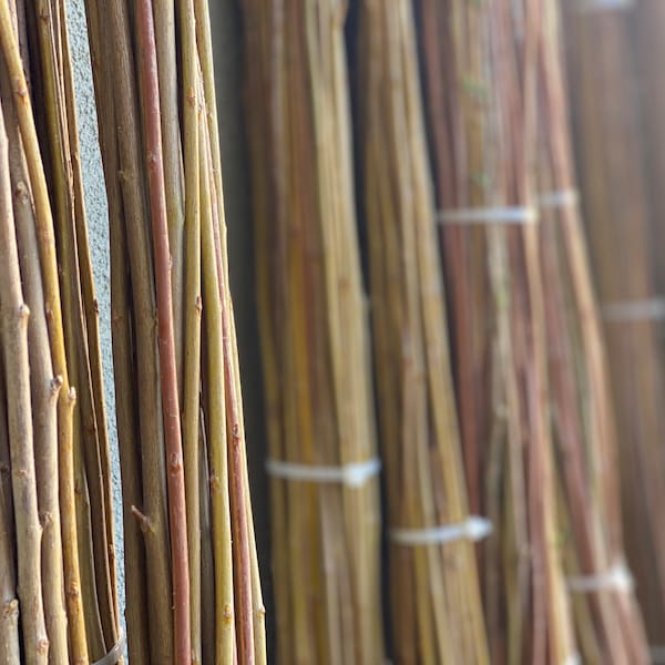 Freshly Harvested and Naturally Dried Willow Branches for Basket Weaving | Willow Wreaths | Garden Trellis | Buy Two Bundles GET ONE FREE!!