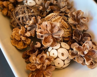 Pinyon Pinecones: Natural Fall & Holiday Decor, Woodland Wedding Supply