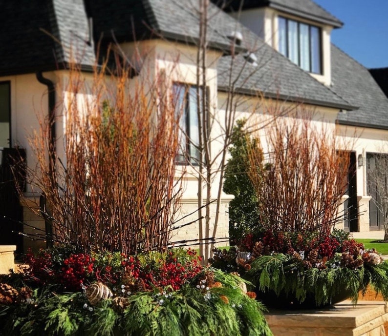 Long Willow Branches for Basket Weaving Willow Wreaths Etsy