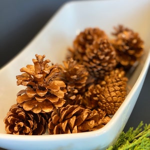 Bronze Pinecone for Unique Fall Home Decorations | Thanksgiving Table Centerpiece Accents | DIY Holiday Craft Supply | Fall Wreaths