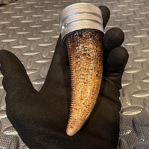 May include: A brown and tan dinosaur tooth replica with a silver metal cap on the top. The tooth is held in a black glove.