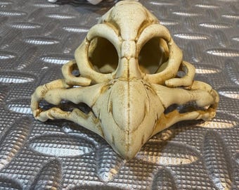 Star Wars, Kowakian Monkey-Lizard Skull