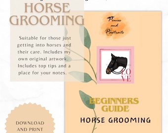 Horse care guide for beginners, learn how to groom a horse, printable horse and pony care guide, top tips and how to, equestrian grooming