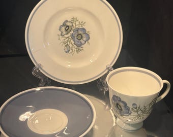 Wedgwood - Glen Mist (modern) - 7