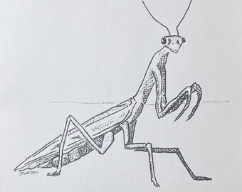 Stinkbug Draws #4 - Mantodea