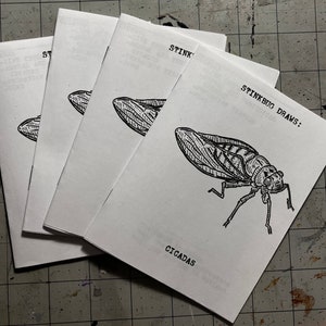 May include: A stack of four small, white paper zines with black ink illustrations of cicadas. The top zine has the title "STINKBUG DRAWS: CICADAS" printed on the front.