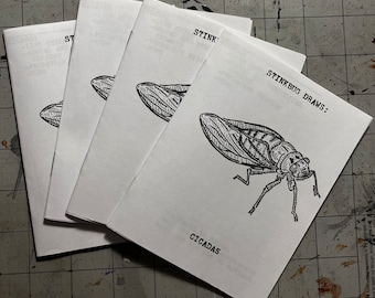 Stinkbug Draws #1 - Cicadas