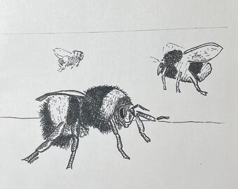 Stinkbug Draws #2- Bees