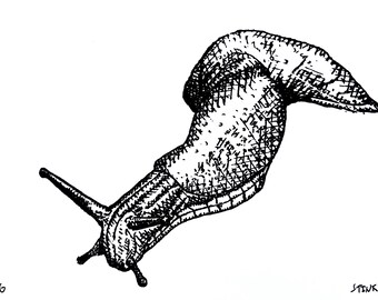 Slug - 5x7 Screenprint