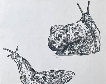 Stinkbug Draws #5 - Gastropoda