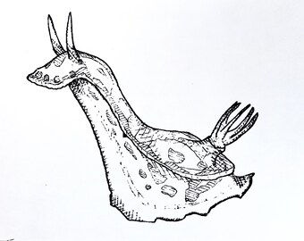 Nudibranch - 5x7 Screenprint