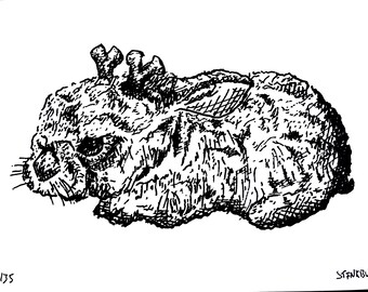 Jackalope - 5x7 Screenprint