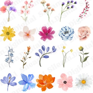 Arquivos PNG de flores em aquarela. Arquivos digitais para Cricut. Arquivos digitais de flores para designs de impressão sob demanda.