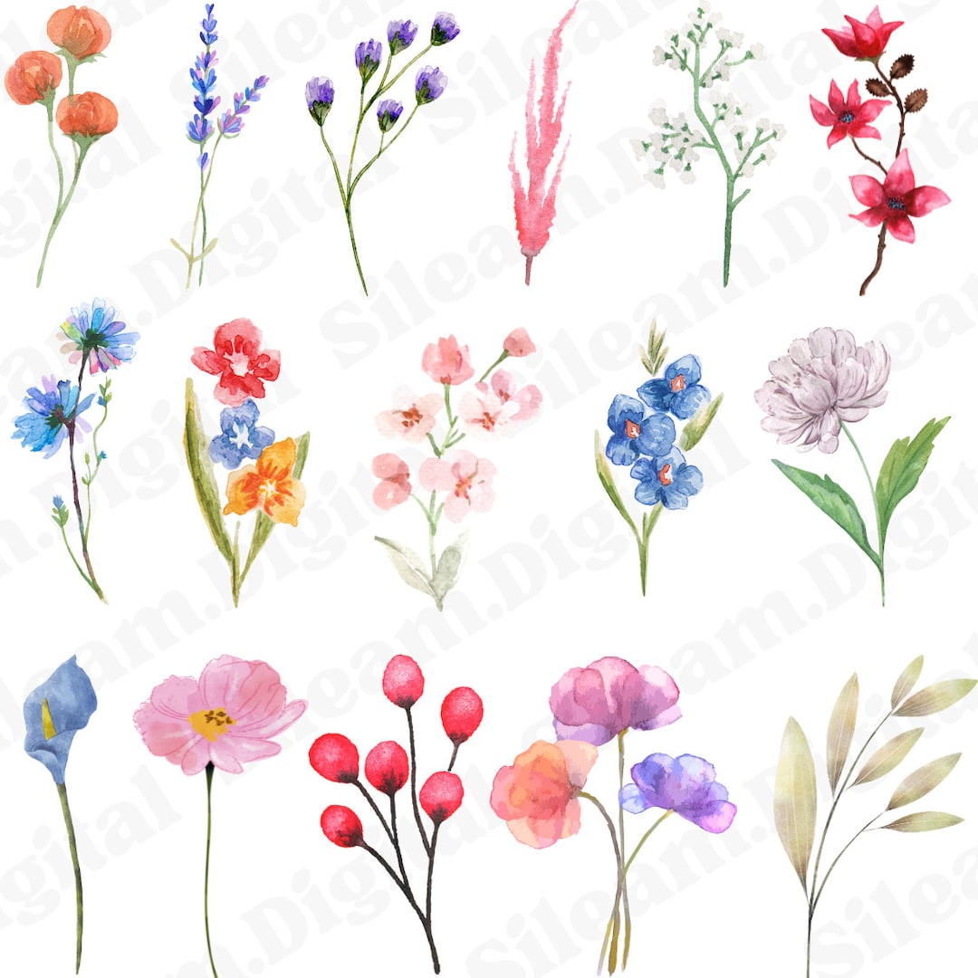 60 Watercolor Flowers Stems PNG Files. Digital Files for Cricut. Flowers Digital Files for Print