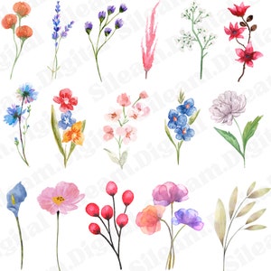 60 Watercolor Flowers Stems PNG files. Digital files for Cricut. Flowers digital files for print on demand designs.