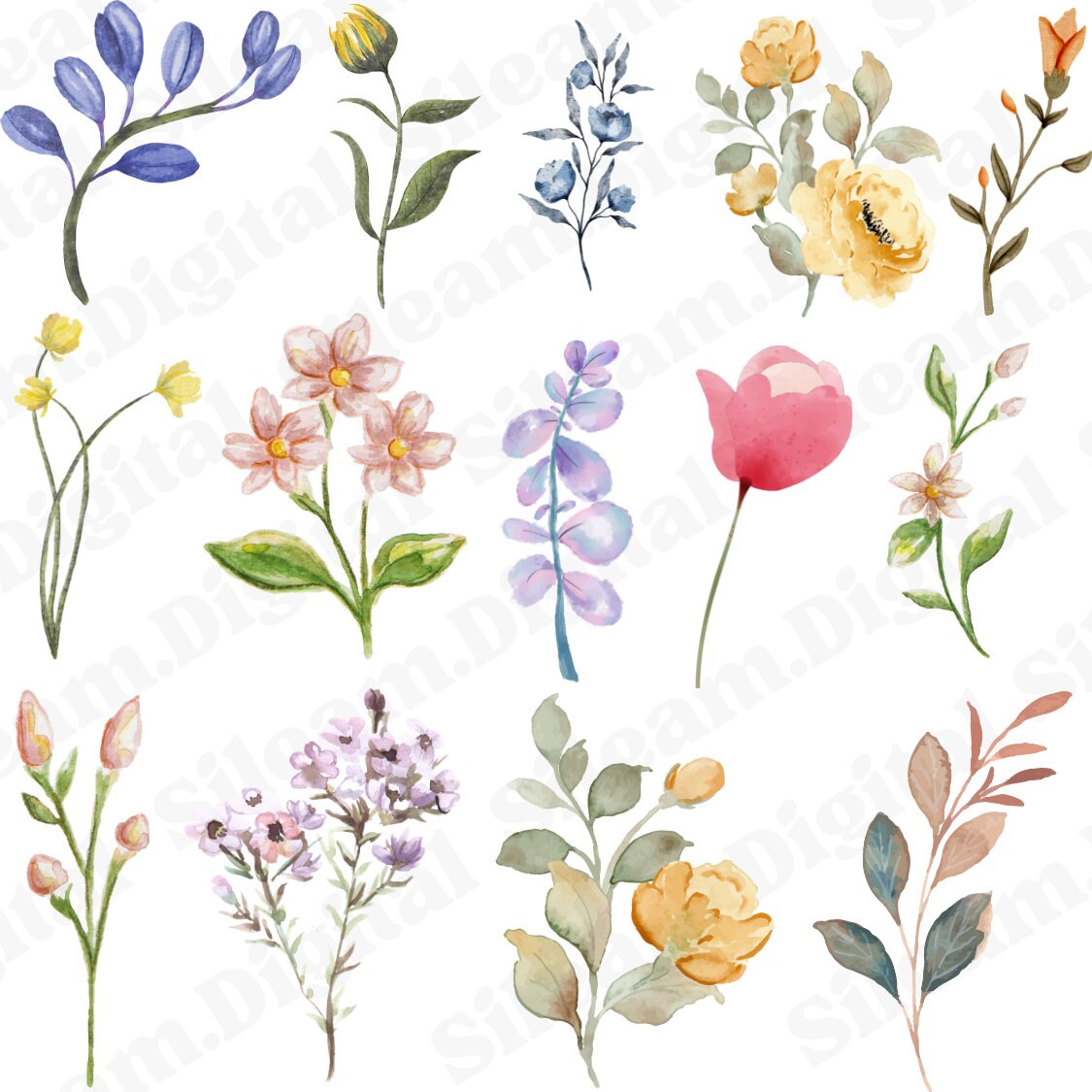 60 Watercolor Flowers Stems PNG Files. Digital Files for Cricut. Flowers Digital Files for Print