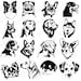 see more listings in the For cricut section