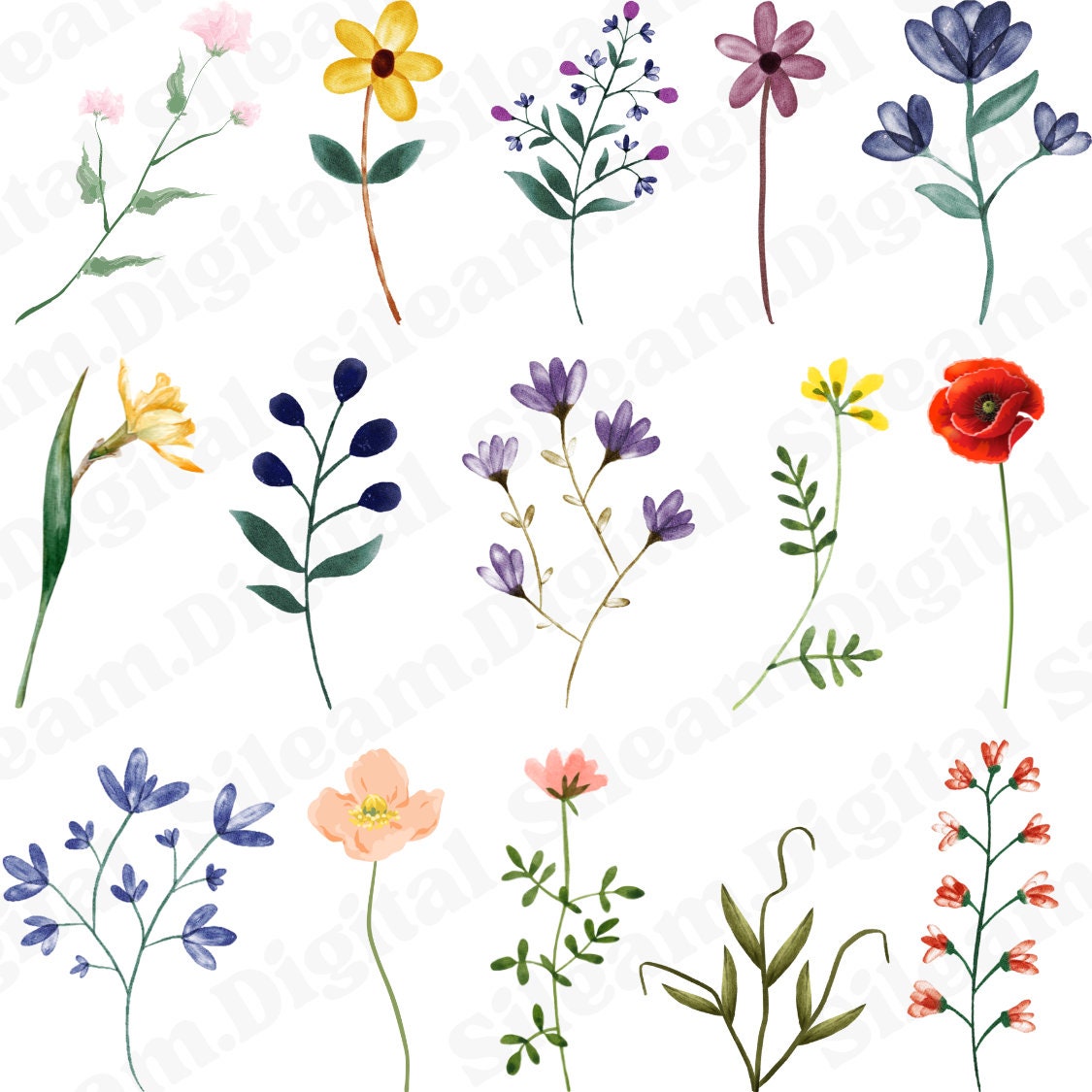 60 Watercolor Flowers Stems PNG Files. Digital Files for Cricut. Flowers Digital Files for Print