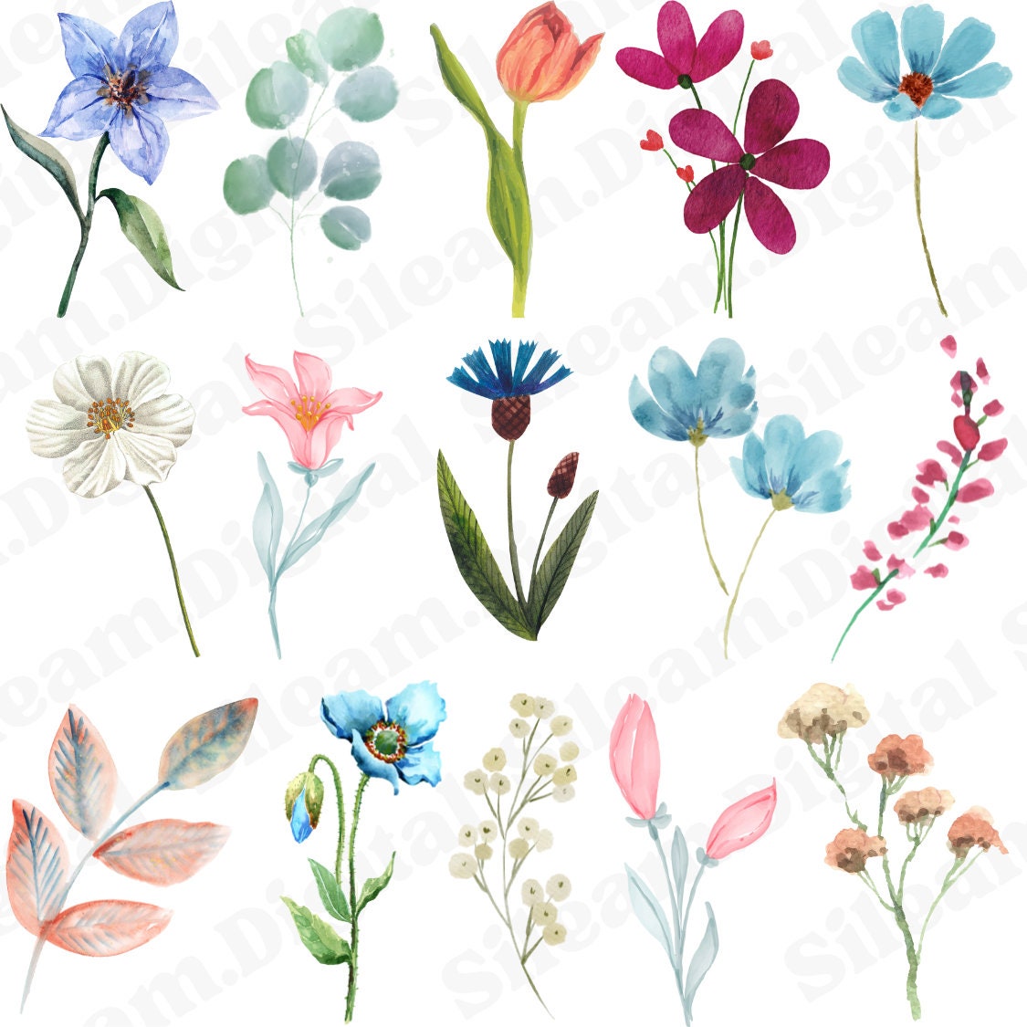 60 Watercolor Flowers Stems PNG Files. Digital Files for Cricut. Flowers Digital Files for Print