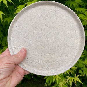 May include: A round, speckled, off-white plate with a slightly raised rim.