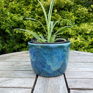 May include: A small houseplant in a blue ceramic pot with a marbled design. The plant has long, green leaves with white stripes. The pot is on a wooden table. The pot's diameter is approximately 15 cm.