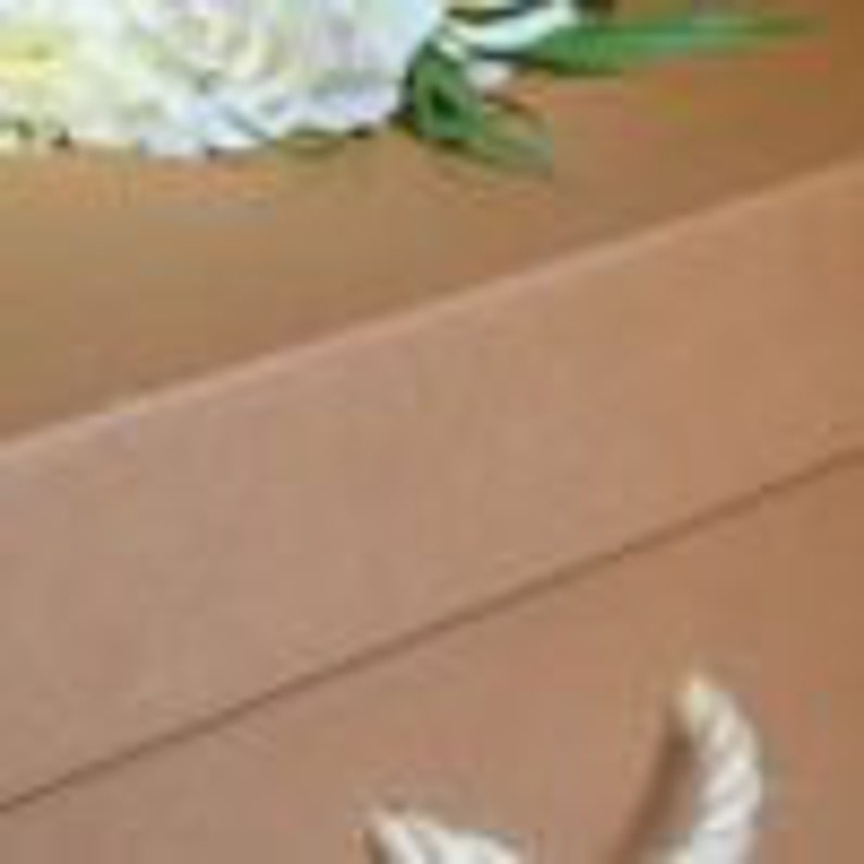 Manila Cardboard Coffin 6ft 1 - Etsy