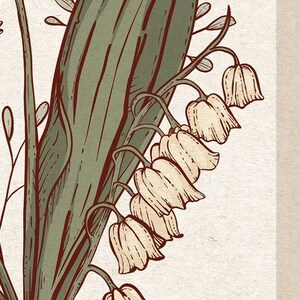 May include: An illustration of lily of the valley flowers. The image shows a cluster of bell-shaped white flowers with green leaves and stems. The artwork has a vintage style with a neutral background and a sepia-toned colour palette.