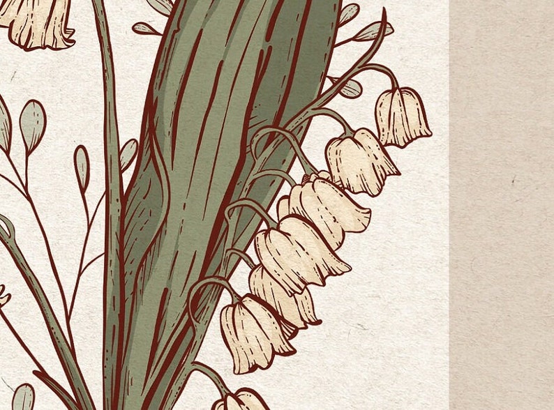 May include: An illustration of lily of the valley flowers. The image shows a cluster of bell-shaped white flowers with green leaves and stems. The artwork has a vintage style with a neutral background and a sepia-toned colour palette.